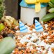 thumbnail image 2 of 10 piezas de adorno de velero en miniatura, decoración de estantería de velero en miniatura, micropaisaje de velero en miniatura, 2 of 6