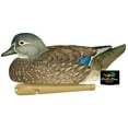 thumbnail image 4 of AVIAN-X Topflight Wood Ducks Durable Ultra Realistic Floating Hunting Duck Decoys, Pack of 6, AVX8083, 4 of 5