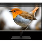 Asus ProArt PA32UCX-PK 32 4K UHD Mini LED LCD Monitor - 16:9 - Black, Black