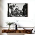 thumbnail image 3 of Elephant Stock Black California La Palm Alley Wall Art - Horizontal Canvas Wall Art - Living Room Wall Decor - City Canvas - Black And White Decor By Philippe Hugonnard - 36" x 24", 3 of 8