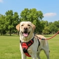 thumbnail image 2 of Nallwabiu No Pull Dog Harness Adjustable Vest with a Training Handle, Pocket, Easy to Put on & Take Off, With dog leash, 2 of 4