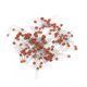thumbnail image 1 of Condensadores Cerámicos Surtidos, Condensadores Cerámicos Profesionales De 30 Valores Para Electrónica Para Uso Profesional ANGGREK Ceramic Capacitor Assortment, 1 of 8