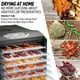 thumbnail image 2 of Deshidratador de alimentos Ivation de 9 bandejas, 600 W, con temporizador y termostato, 2 of 6