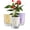 Yellow/White/Purple, variant on Guman Self-Watering White Plastic Plant Pots, 3-Pack, Cotton Wick