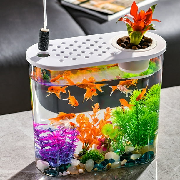 Lutabuo Plastic Tabletop Fish Tank Shatterproof Soil Cultivation for Home  Office Decor