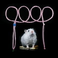 thumbnail image 5 of 3 Pack Adjustable Hamster Leash Harness with Bell for Lead Walking Pet Hamster Gerbil Rat Mouse Harness (Colors May Vary), 5 of 6