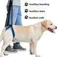 thumbnail image 2 of Final Promotion! Pet Dog Leg Support Rear Lifting Brace Harness for Old Dogs, Aid Assist Tool Rehab Harness for Dogs with Weak Rear Legs, 2 of 6