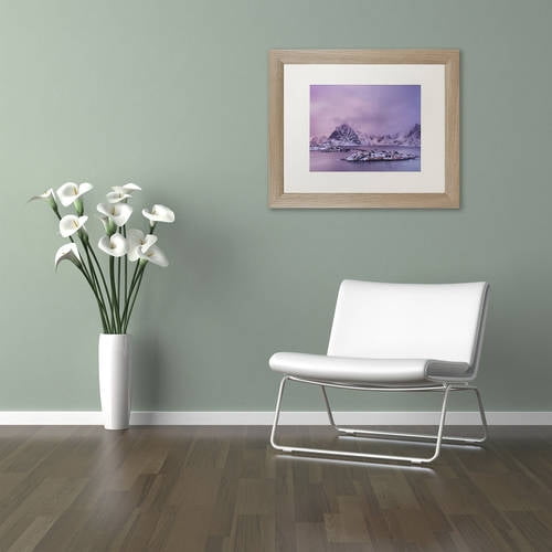 Trademark Fine Art "Sunset Hues 2" Canvas Art by Michael Blanchette Photography White Matte, Birch Frame