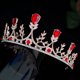 thumbnail image 2 of KAKOWELY Tocado de boda, corona de novia, corona de boda con diamantes de imitación, tiara, diadema nupcial, decoración, 2 of 5