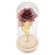 thumbnail image 5 of Regalo de flor de rosa, flor de rosa preservada Flor de rosa LED con luz LED elegante y moderna Jadeshay A, 5 of 8