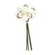 thumbnail image 5 of Cymbidium artificial hidratante, decoración realista, arreglo floral, flor falsa Blanco, 5 of 9