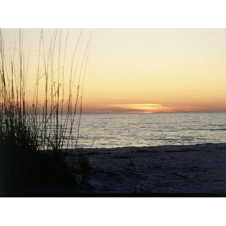 Sunset on Sanibel Island, Gulf Coast of FL Print Wall Art By David (Best Shelling On Sanibel Island Fl)
