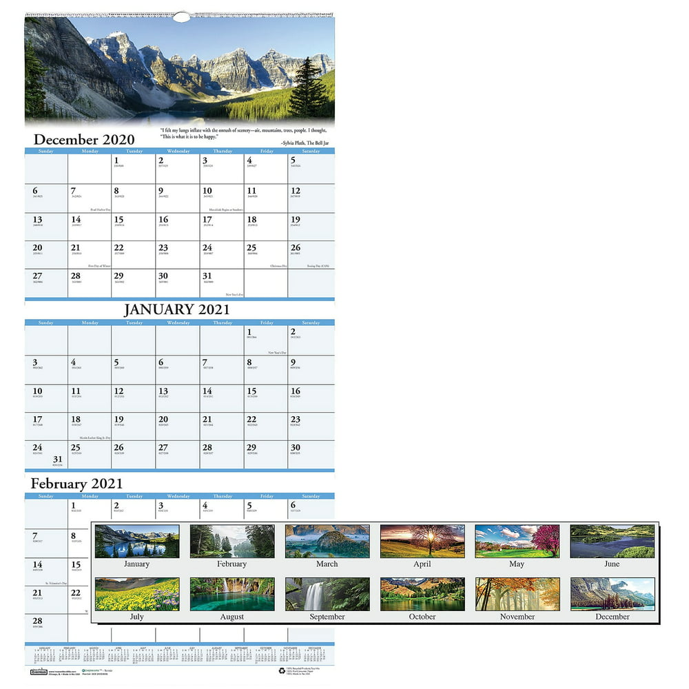 Blue Sky 2021 26 x 12.25 Wall Calendar, Earthscapes Scenic, Multicolor