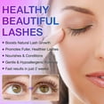 thumbnail image 2 of 3-Pack ikzee Eyelash Serum for Fuller Longer Lash in 4 Weeks, Eyelash Eyebrow Hairline Enhancer, 2 of 9