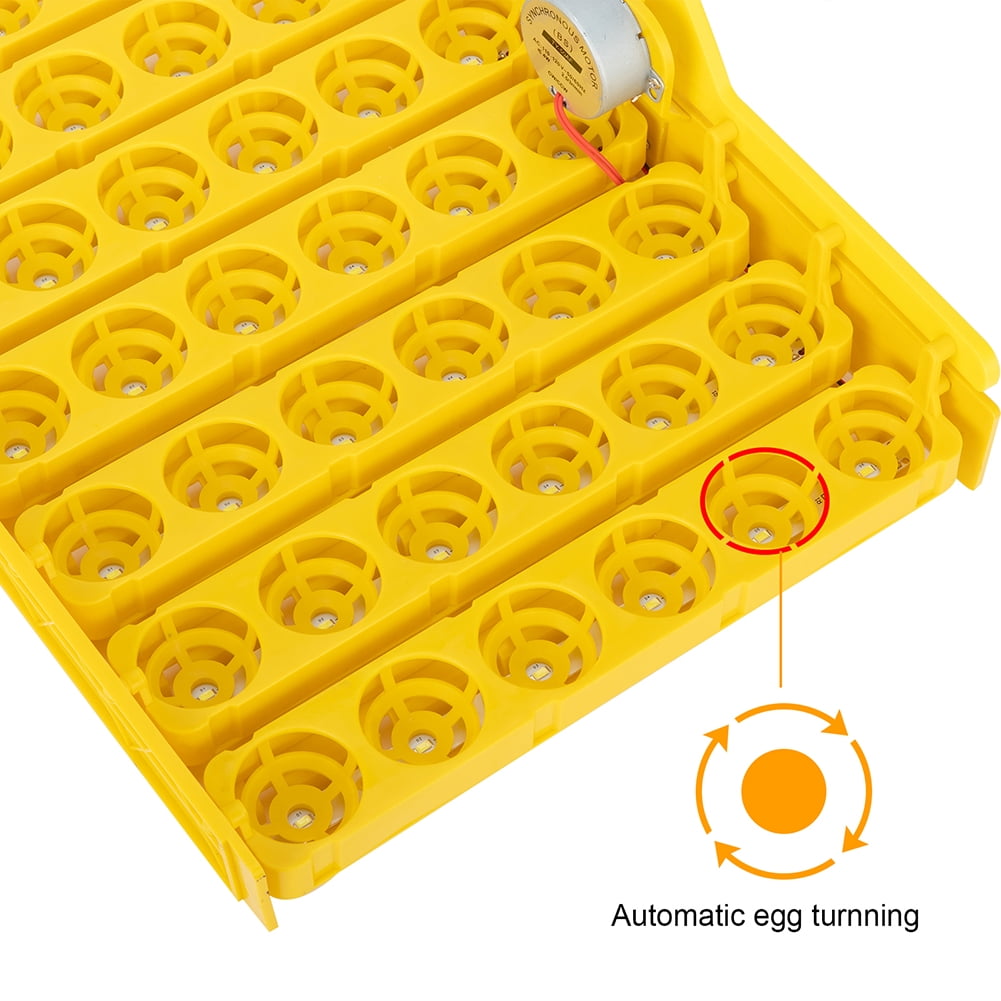 Veryke Digital Clear Egg Incubator 42 Eggs Poultry Hatcher for Chickens Ducks Goose Birds Veryke Digital Clear Egg Incubator 42 Eggs Poultry Hatcher for Chickens Ducks Goose Birds