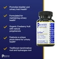 thumbnail image 3 of Premier Research Labs UriVen - Organic Cranberry, Marshmallow, Hydrangea, Chlorella, Rice Fiber, Alfalfa, Olive Leaf & Blueberry - Supports Bladder & Urinary Tract - 60 Plant-Source Capsules, 3 of 6
