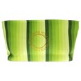thumbnail image 1 of Bolsa Estuche de viaje Kat Burki Stripe Verde 1 Pc, 1 of 1