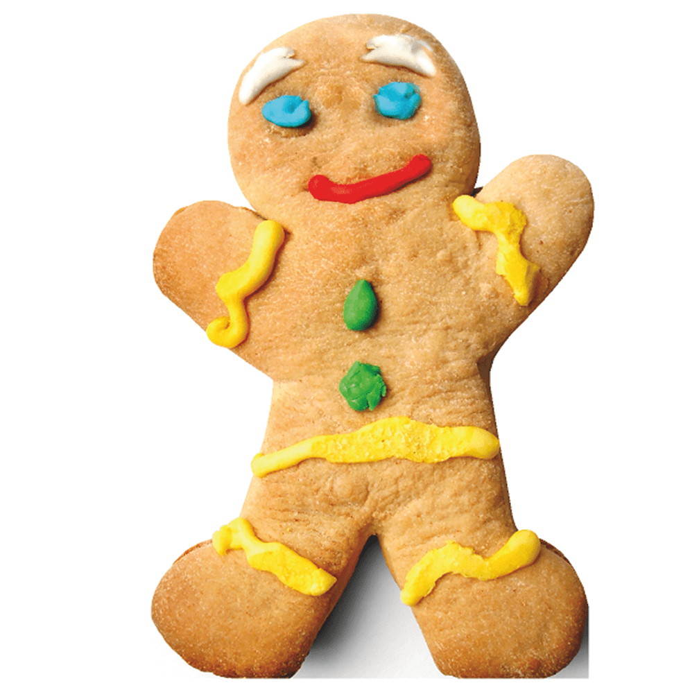 SP12125 Gingerbread Man with Icing