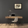 thumbnail image 4 of PI Collection 24x18 Black Modern Framed Museum Art Print Titled - Camel Dromedary, 4 of 5