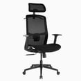 thumbnail image 1 of Desky Adjustable High Back Mesh Chair, 1 of 9