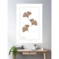 thumbnail image 2 of Bronze Ginkgo Poster Wall Art, Modern Wall Decor For Living Room Bedroom, 16x24 UNFRAMED, 2 of 3