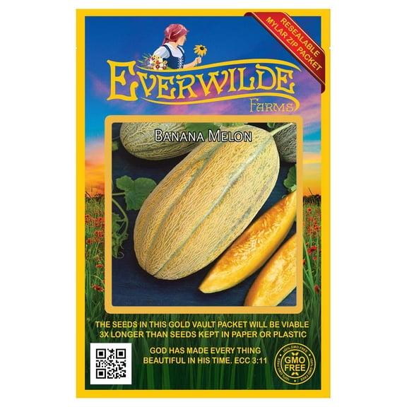 Everwilde Farms - 50 Banana Melon Seeds - Gold Vault Jumbo Bulk Seed Packet