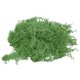 thumbnail image 1 of Uxcell 10 OZ Musgo Falso Musgo Reindier Conservado Musgo Artificial Decorativo para Plantas en Macetas Manualidades, Verde, 1 of 6