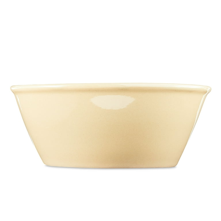 Vibrant Life Basic Ceramic Dog Bowl, xs