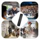 thumbnail image 4 of Mini Camera Pocket Cam Wearable Video Recorder Camcorder Support HD 1080P/720P Loop Shooting Photo Taking for Lectures Classes Meetings Interviews, 4 of 5