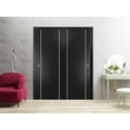thumbnail image 3 of Sliding Closet Bypass Doors 36 x 80 inches | Planum 0410 Matte Black with Frosted Glass | Sturdy Rails Moldings Trims Hardware Set | Wood Solid Bedroom Wardrobe Doors, 3 of 6