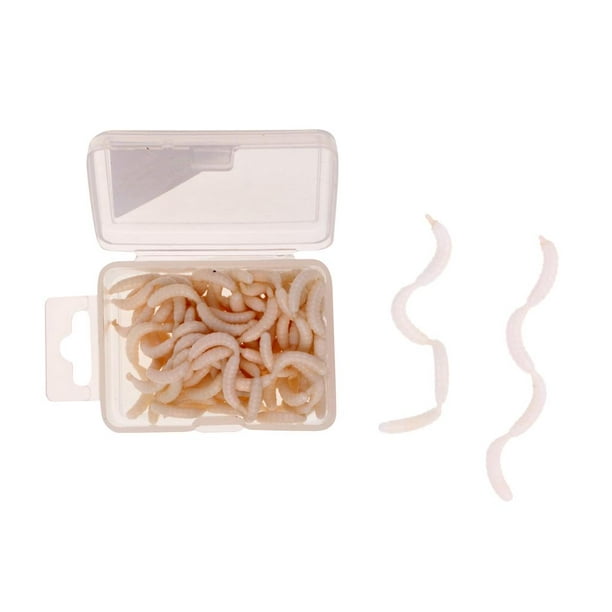 120 Pieces / Box White Fish Maggots Soft Worms tract Strong Fishy