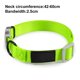 thumbnail image 2 of Collar ajustable con clip para perros de la colección primaria de RC Pets, 2 of 5