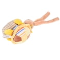thumbnail image 4 of Juguetes colgantes para bebés, tonos pastel, apariencia exquisita, caja de música mecánica, cochecito, juguete colgante, tortuga, 4 of 14