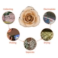 thumbnail image 4 of 24k Gold Rose Dipped Real Rose Forever Love, Stand Included Gift Box, 4 of 7