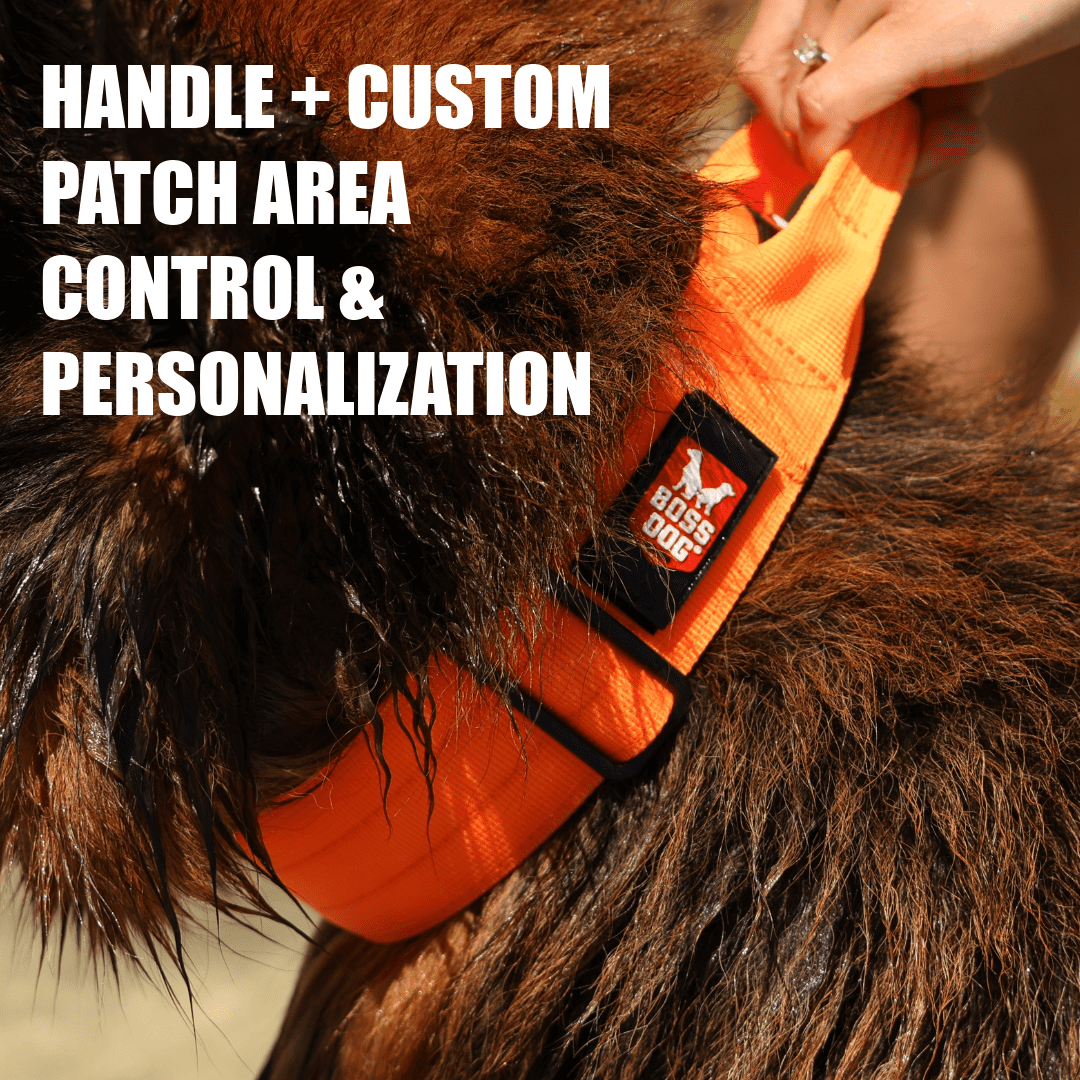 Boss Dog Tactical Collar, Hunter Orange, X-Large