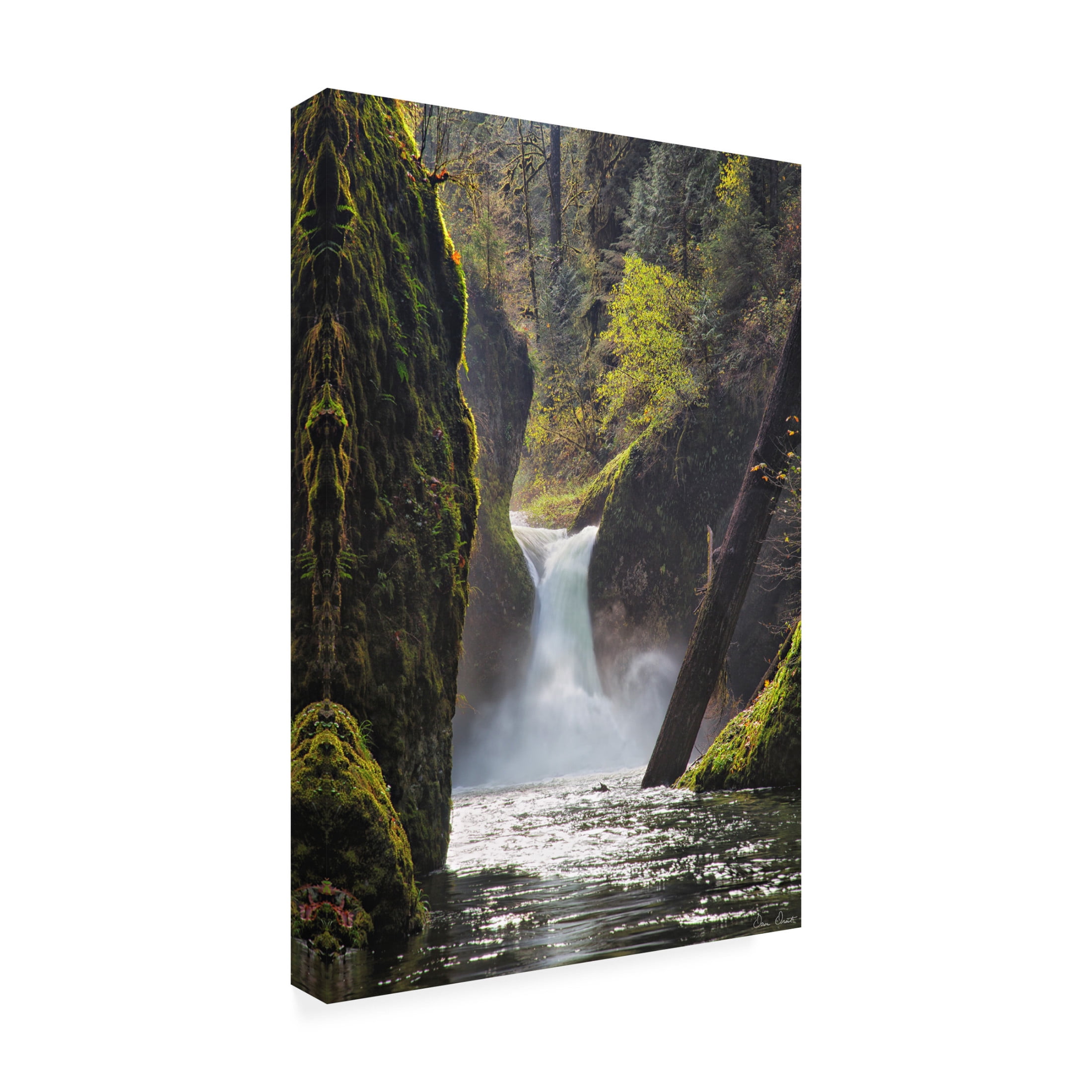 Trademark Fine Art David Drost  Rapid Waterfall II Canvas Wall Art