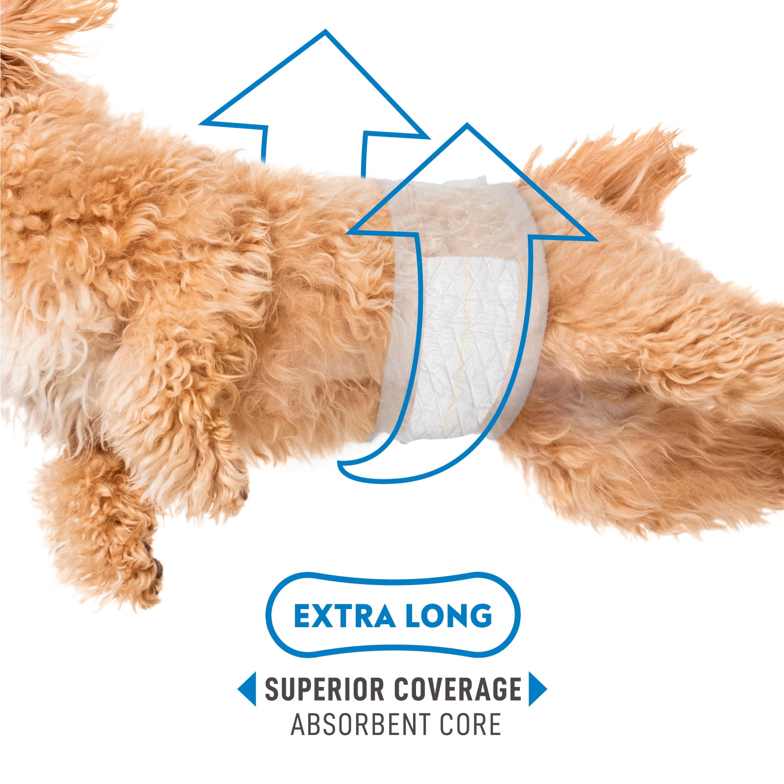 20ct Paw Inspired Select Fit Disposable Male Diapers, Belly Bands Wraps with Wetness Indicator and Extended Absorbent Core (X-Large)