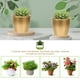 thumbnail image 5 of unbranded Maceta Metálica Para Plantas Y Ideal Para Jardín Y Oficina, 5 of 6