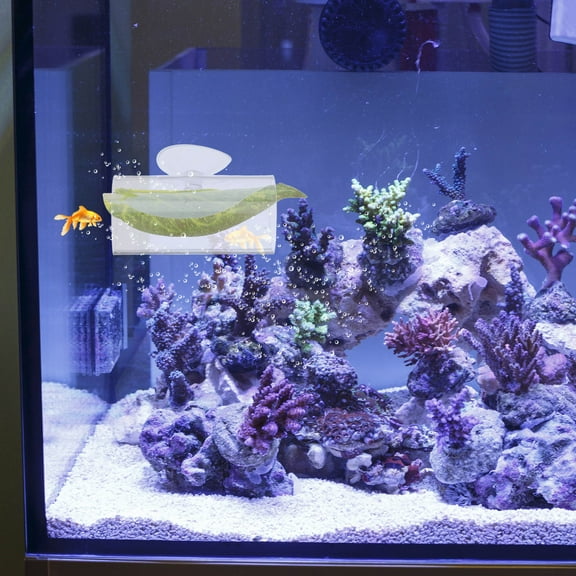 Hemoton Betta Fish Aquarium Decor 1 Set Acrylic Bed Tunnel Tube for Betta Tank Accessory Supply