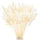thumbnail image 1 of Uxcell 180-Pack Hierba de Colas de Conejo 17 Pulgadas Hierba de Cola de Conejo Esponjosa Flores Secas para el Hogar/Boda [Blanco], 1 of 1
