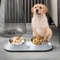 thumbnail image 4 of All-in-One Elevated Pet Feeding Bowl – Durable Plastic Dish for Cats and Dogs with Wide Design, 4 of 6