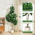 thumbnail image 3 of 6ft Artificial Fiddle Leaf Fig Tree - Faux Ficus Lyrata with White Planter, Indoor Floor Fake Plant for Living Room Home Office Decor, Housewarming Gift, 3 of 7