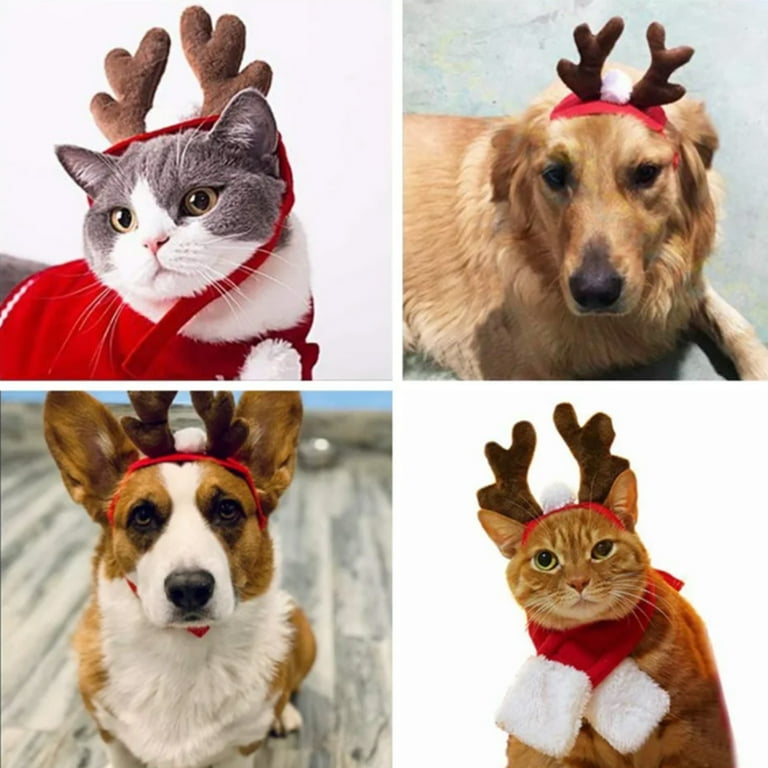 Cat clearance hair scarf