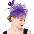 thumbnail image 2 of AOOCHASLIY Hats for Women Clothes Hat for Women Tea Party Headband Kentucky Derby Wedding Cocktail Flower Mesh Feathers Hair Clip, 2 of 3