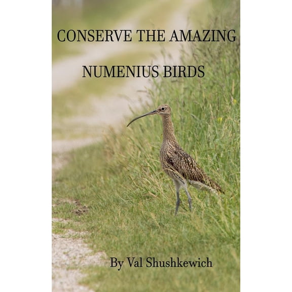Conserve the Amazing Numenius Birds, (Paperback)