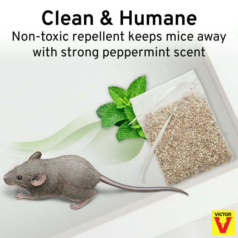 6 Home Remedies That Repel Rodents