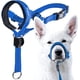thumbnail image 1 of GoodBoy Dog Head Halter con correa de seguridad - Topes, 1 of 5