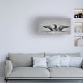 thumbnail image 2 of Jim Cumming 'Common Loon In Black And White' Canvas Art, 2 of 3