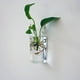 thumbnail image 5 of 6 Piezas Jarrón Colgante Rectangular Claro Bricolaje Decoración De Maceta De Terrario Hidropónico Soledad Florero colgante claro, 5 of 9