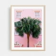 thumbnail image 2 of Charleston Pink - Charleston South Carolina Photography Palm Tree Tropical Architecture Pastel Coastal Beach House Botanical Unframed Wall Art Print 24 x 30 inches, 2 of 81